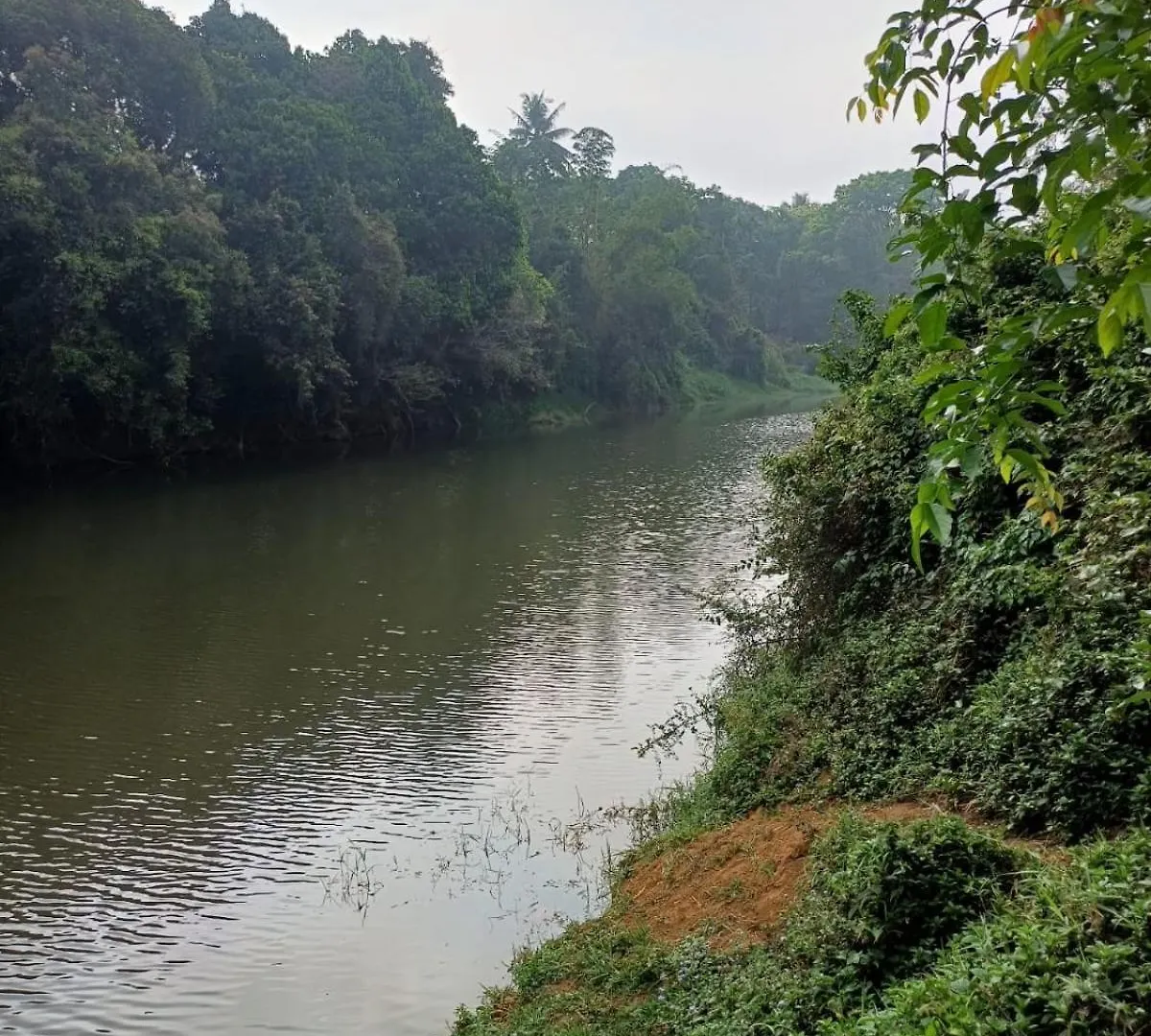 River Valley Mananthavady India