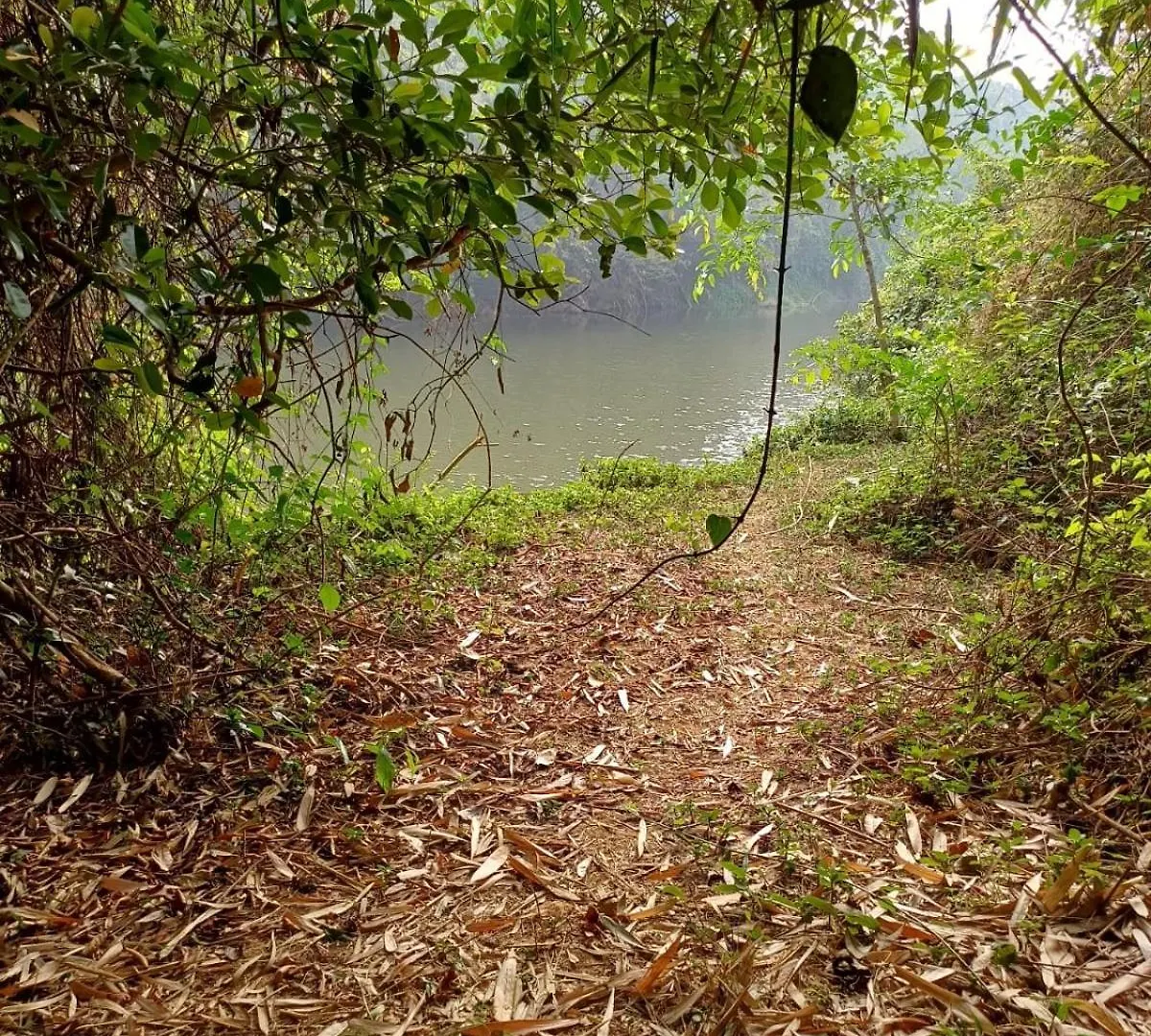 River Valley Mananthavady Villa