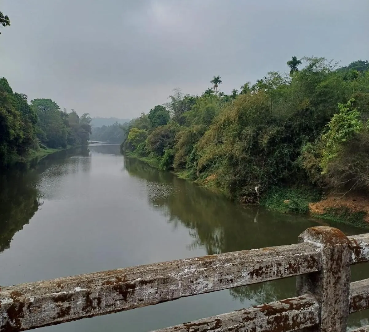 River Valley Mananthavady