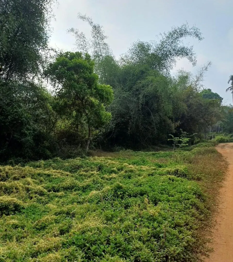 Villa River Valley Mananthavady