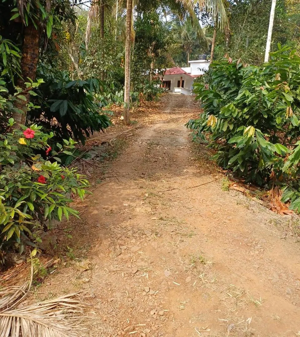 River Valley Mananthavady India