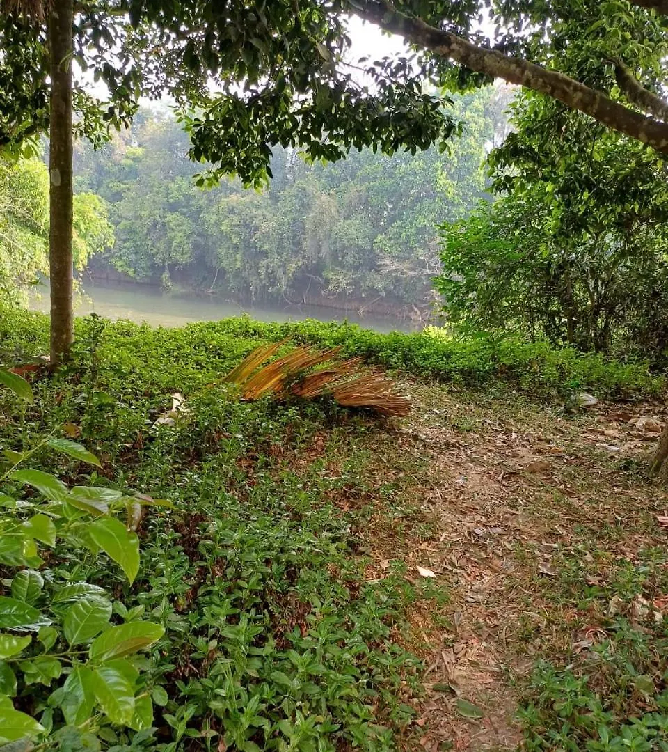 River Valley Mananthavady 0*,  India