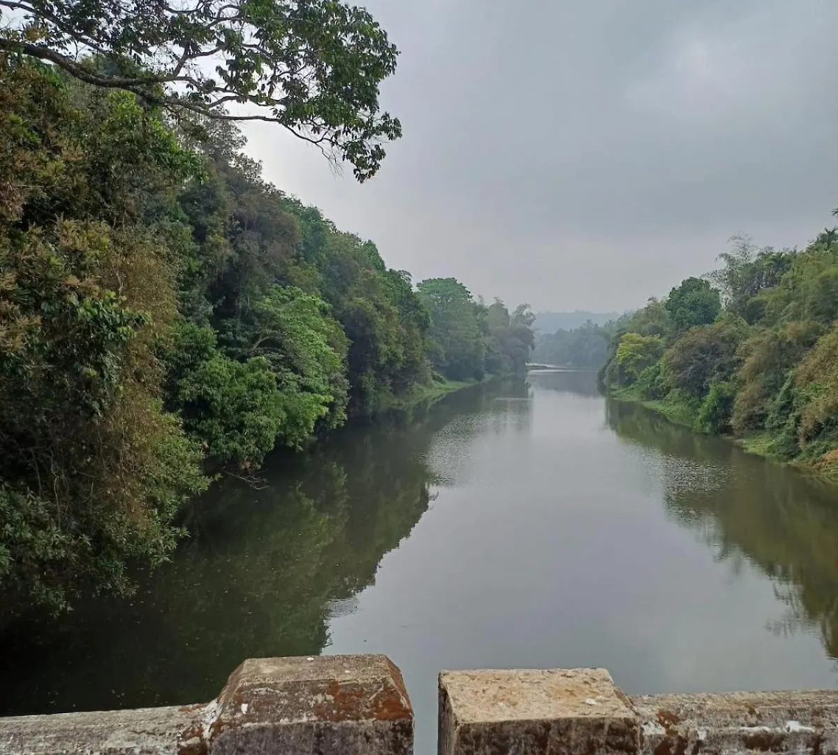 Villa River Valley Mananthavady